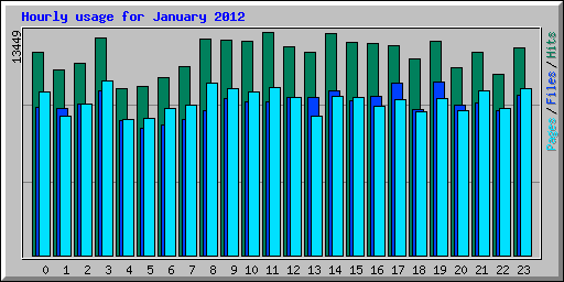 Hourly usage for January 2012
