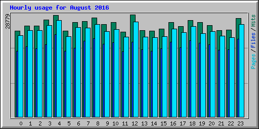 Hourly usage for August 2016