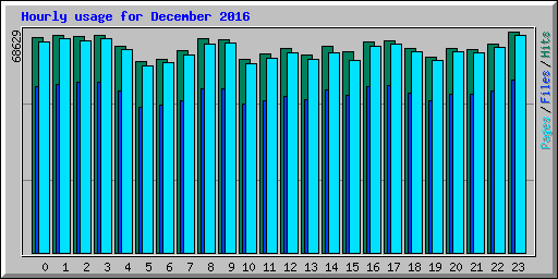 Hourly usage for December 2016